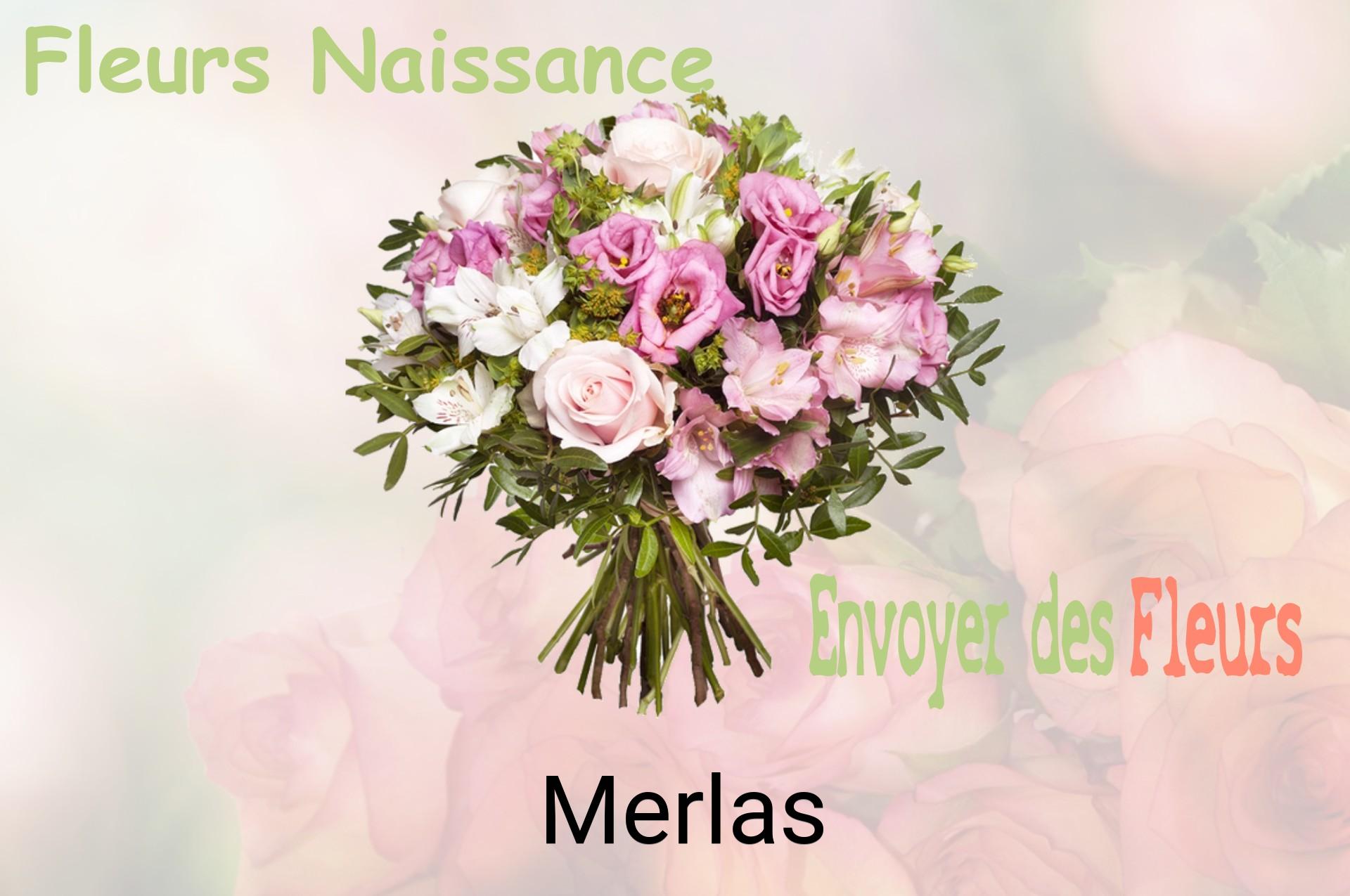 Bouquet de fleurs de naissance livré à Merlas