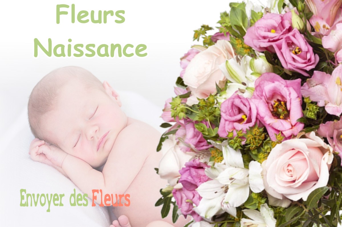 lIVRAISON FLEURS NAISSANCE à MERLAS